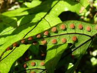 Auf dem Weg nach Wanaka - Ship Creek Bay