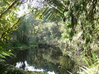 Auf dem Weg nach Wanaka - Ship Creek Bay
