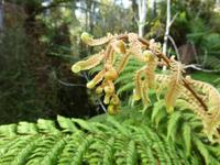 Auf dem Weg nach Wanaka - Ship Creek Bay