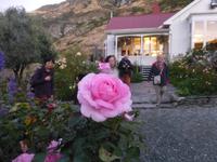 Queenstown - Fahrt mit der TSS Earnslaw - Walter Peak Station