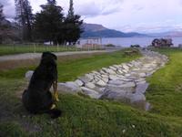 Queenstown - Fahrt mit der TSS Earnslaw - Walter Peak Station