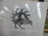 Auf dem Weg zum Mt. Cook - Oamaru