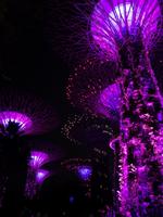 Singapur bei Nacht - Supertree Grove