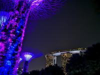 Singapur bei Nacht - Supertree Grove
