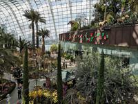Singapur - Gardens by the Bay - Flower Dome