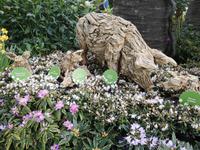 Singapur - Gardens by the Bay - Flower Dome