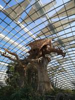 Singapur - Gardens by the Bay - Flower Dome