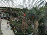 Singapur - Gardens by the Bay - Flower Dome