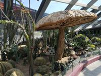 Singapur - Gardens by the Bay - Flower Dome