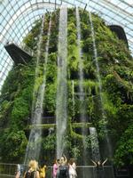 Singapur - Gardens by the Bay - Cloud Forest