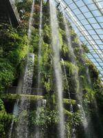 Singapur - Gardens by the Bay - Cloud Forest