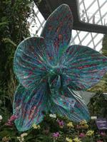 Singapur - Gardens by the Bay - Cloud Forest