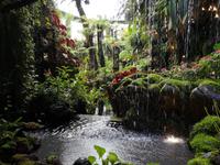 Singapur - Gardens by the Bay - Cloud Forest