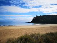 Ausflug zum Cape Reinga - Taipa