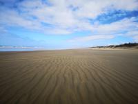 Ausflug zum Cape Reinga - 90 Mile Beach