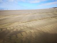 Ausflug zum Cape Reinga - 90 Mile Beach