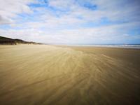 Ausflug zum Cape Reinga - 90 Mile Beach
