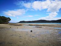 Ausflug zum Cape Reinga - Lunch Stop