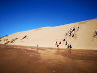 Ausflug zum Cape Reinga - Sanddünen