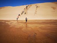 Ausflug zum Cape Reinga - Sanddünen