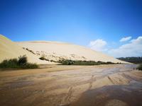 Ausflug zum Cape Reinga - Sanddünen