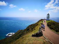 Ausflug zum Cape Reinga