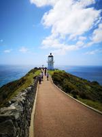 Ausflug zum Cape Reinga