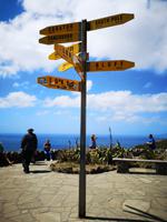 Ausflug zum Cape Reinga