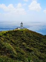 Ausflug zum Cape Reinga