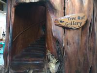 Ausflug zum Cape Reinga - Kauri Galerie