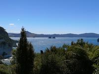 Cathedral Cove - Kamelinseln