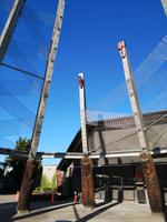 Rotorua - Te Puia Maoriabend