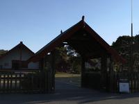 Rotorua - Te Puia Maoriabend