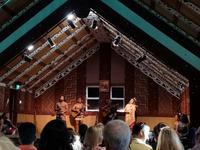 Rotorua - Te Puia Maoriabend