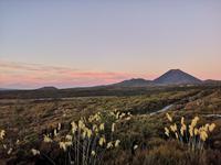 Whakapapa - Abendstimmung