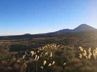 Tongariro Nationalpark - Wanderung