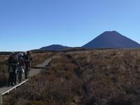 Tongariro Nationalpark - Wanderung