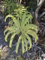 Tongariro Nationalpark - Wanderung
