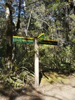 Tongariro Nationalpark - Wanderung