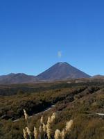Tongariro Nationalpark