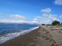 Kapiti Island - Blick zum 
