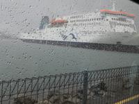 Fährüberfahrt Wellington - Picton