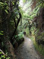 Abel Tasman Nationalpark