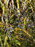 Auf dem Weg nach Wanaka - Ship Creek Bay
