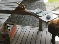 Auf dem Weg nach Wanaka - Ship Creek Bay