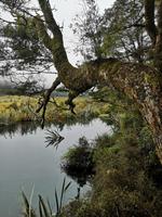 Milford Sound - Spiegelsee