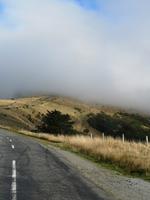 Auf dem Weg nach Christchurch -Akaroa Halbinsel