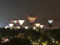 Gardens By the Bay Singapur 