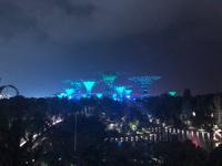 Gardens By the Bay Singapur 