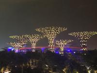 Gardens By the Bay Singapur 